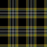 McIntyre Collegium Tartan Pattern