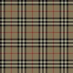 142_Burberry tartan 1239