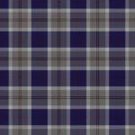 Bannockbane Silver Tartan