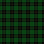 Wallace Hunting Tartan